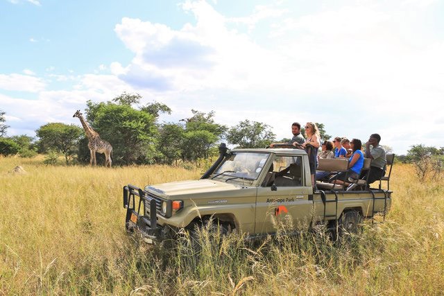 Game Drives - Gweru, Zimbabwe | byolife.co.zw