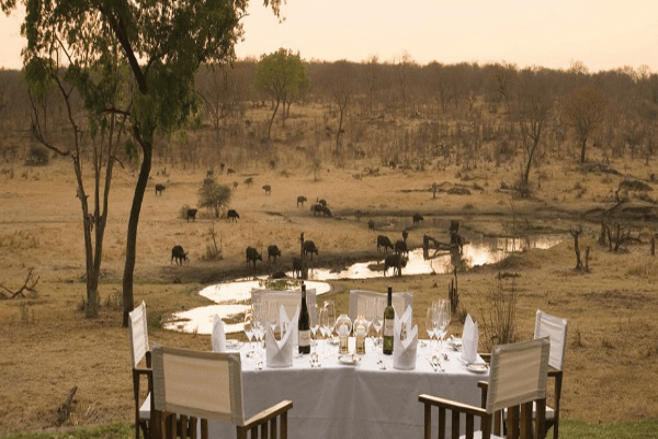 Top 10 Luxury Vacation Stays In Zimbabwe