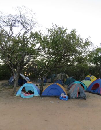 Worldsview Campsite