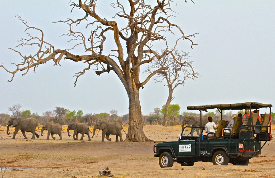 imvelo safaris zimbabwe