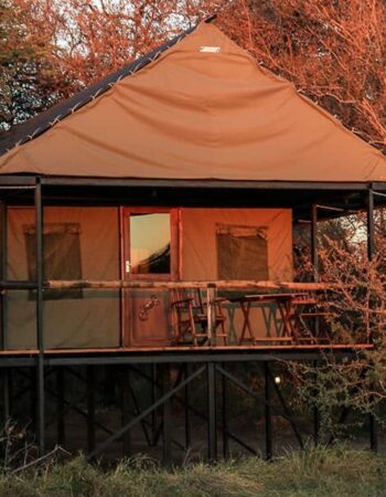 Bomani Tented Lodge