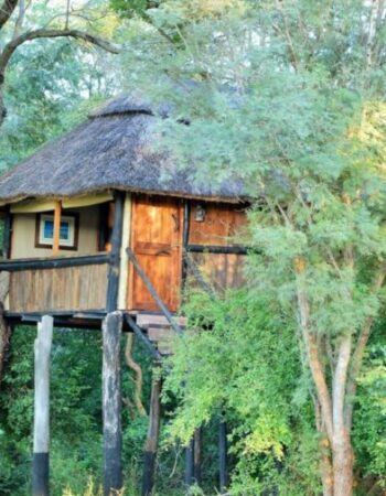 Ivory Lodge