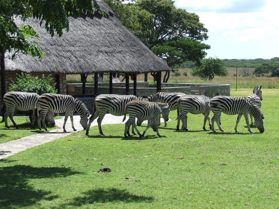 Jabulani Safaris