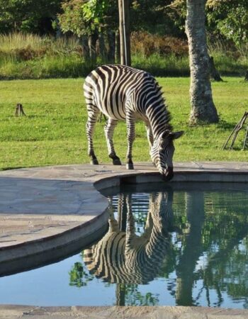 Jabulani Safaris