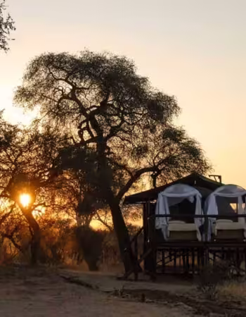 Jozibanini Camp
