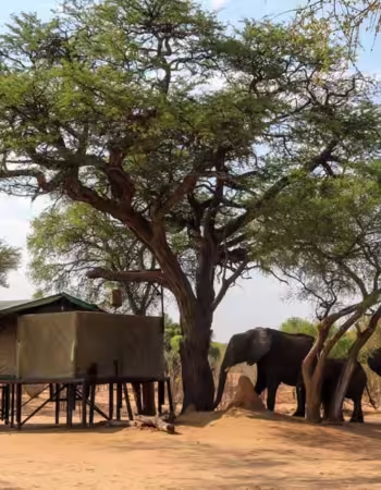 Jozibanini Camp