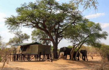 Jozibanini Camp