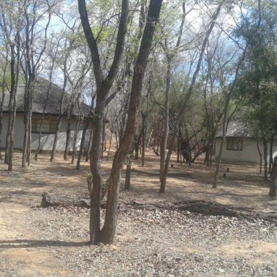 Matopo Ingwe Lodge