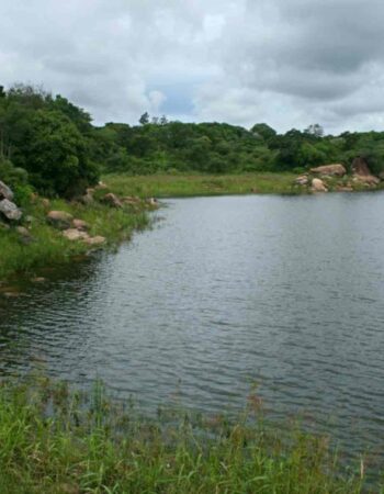 Hillside Dams Conservancy