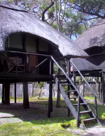 Tree Lodge at Sikumi