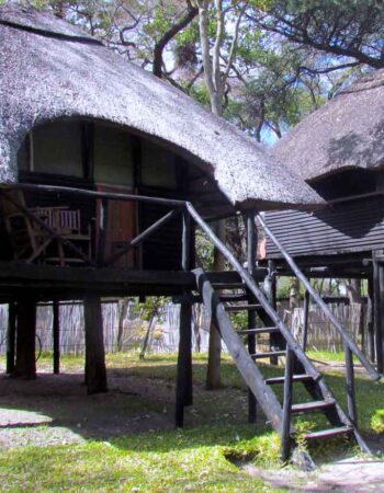Tree Lodge at Sikumi