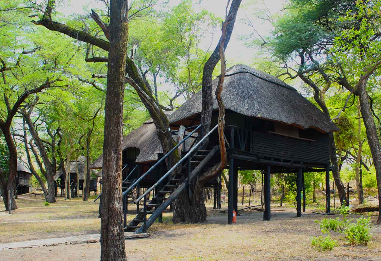 Tree Lodge at Sikumi