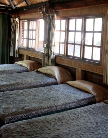 Tree Lodge at Sikumi