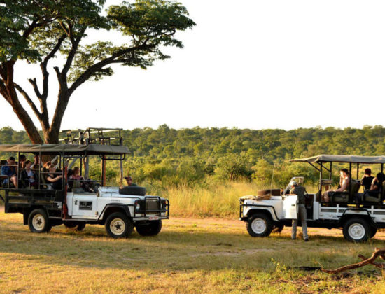 Tuskers Campsite