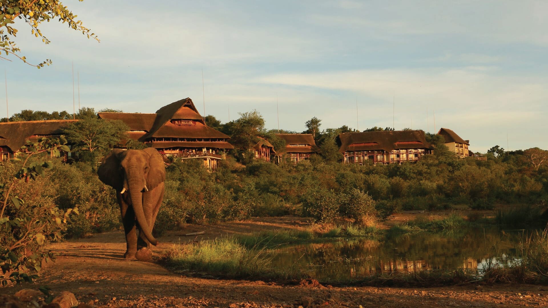 Victoria Falls Safari Lodge Accommodation In Vic Falls Byolife Co Zw   Victoria Falls Safari Lodge Header 