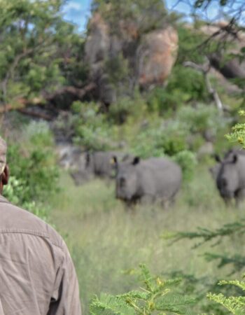 Matobo Hills Lodge