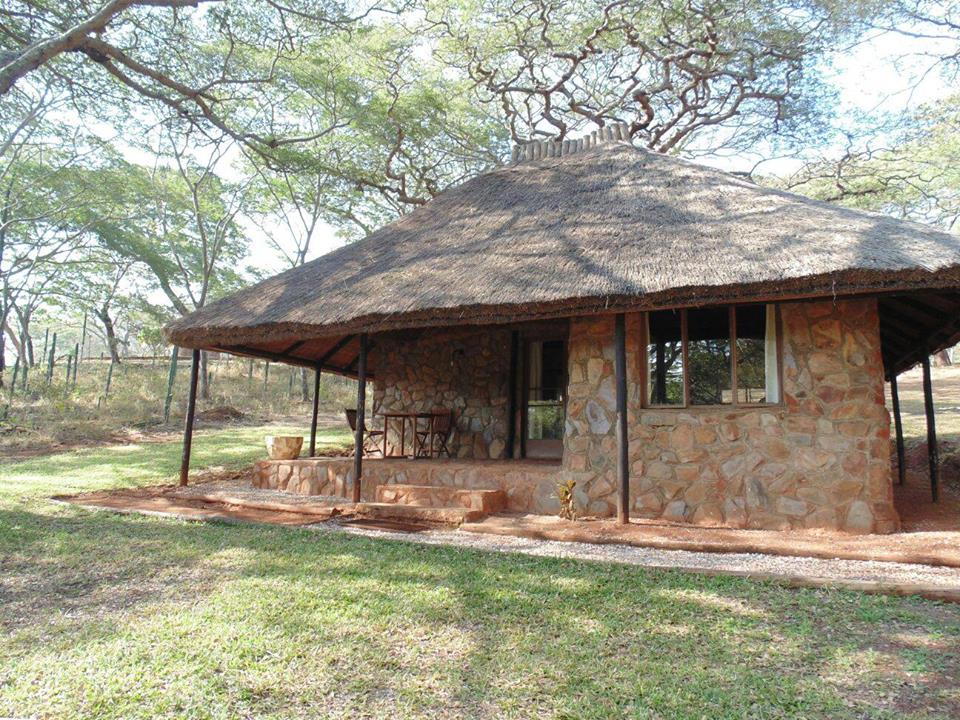 Muunze Forest Lodge
