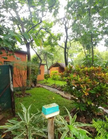 Victoria Falls Backpackers Lodge