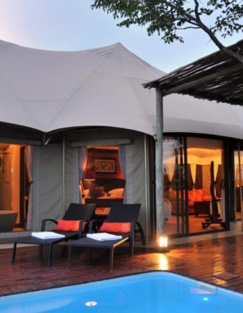 The Elephant Camp