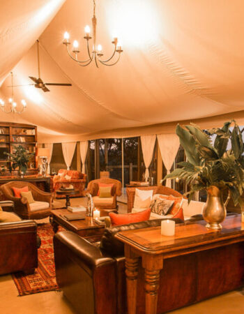 The Elephant Camp