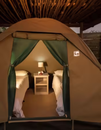 Shearwater Explorers Village