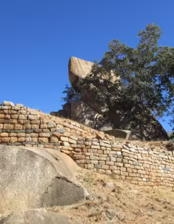 Natural History Museum of Zimbabwe