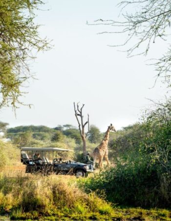 Singita Pamushana Lodge
