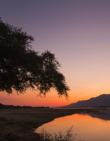 Mana Pools National Park