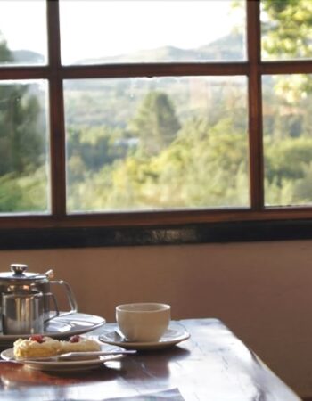 Rhodes Nyanga Hotel