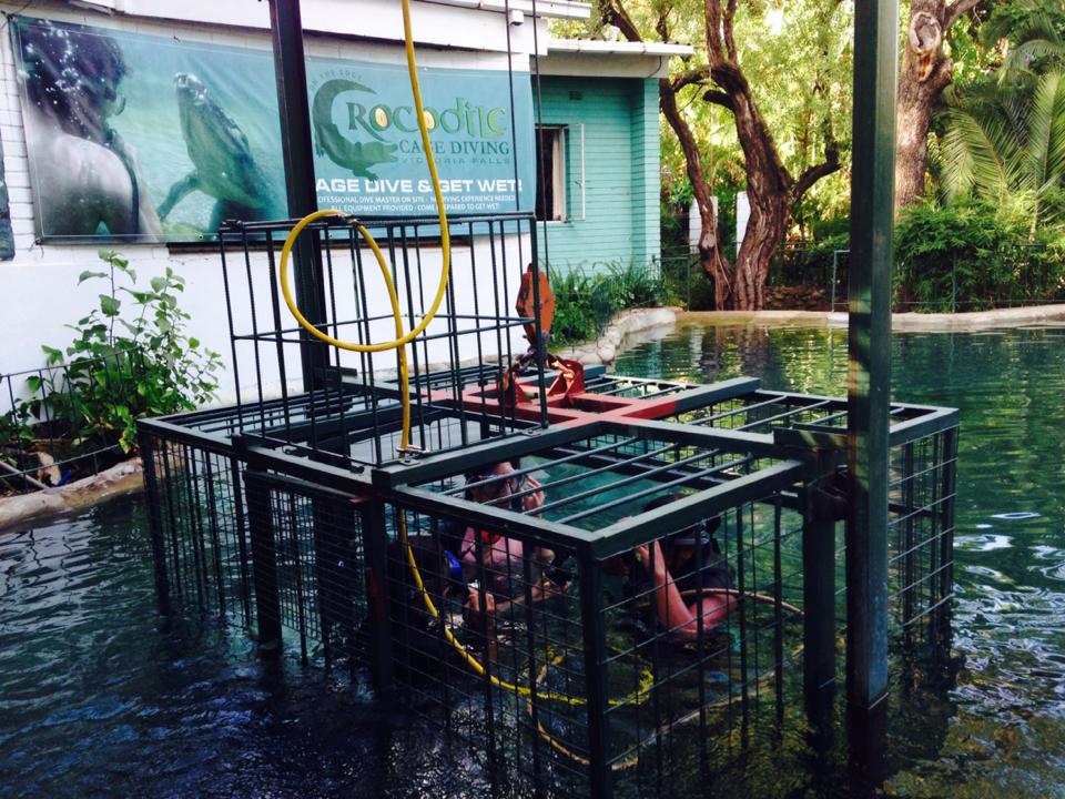 Crocodile Cage Diving