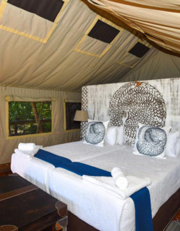 Deteema Springs Camp