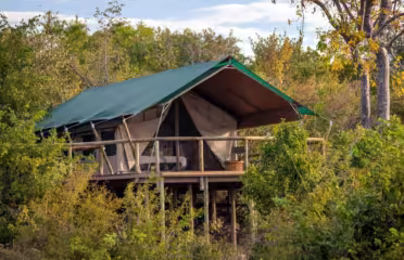 Deteema Springs Camp