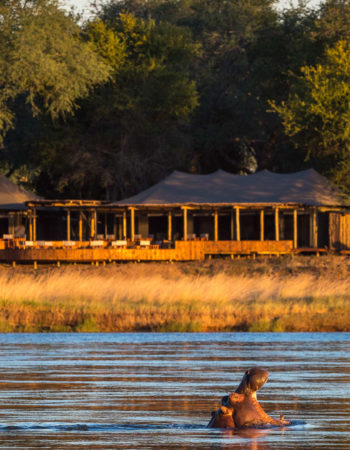 Ruckomechi Camp