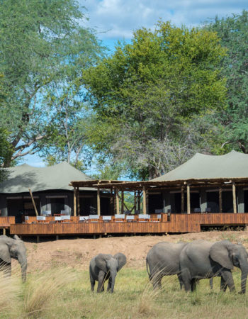 Ruckomechi Camp