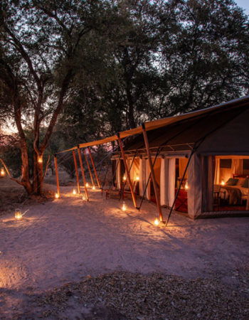 Sapi Explorers Camp