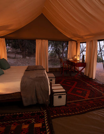 Sapi Explorers Camp