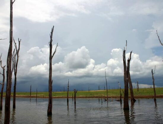 Lake Kariba Recreational Park