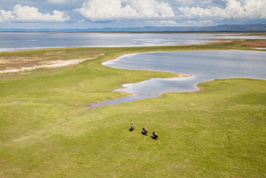 Matusadona National Park