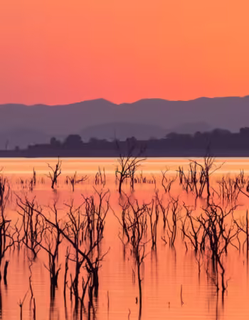 Matusadona National Park