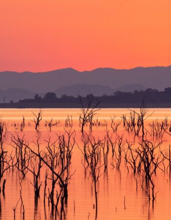 Matusadona National Park