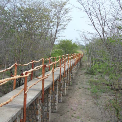 Gwango Elephant Lodge