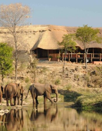 The Wallow Lodge