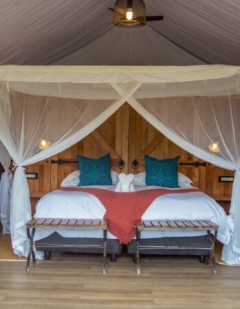The Wallow Lodge