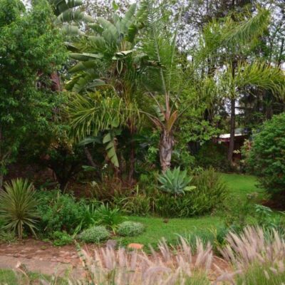 Entabeni Lodge