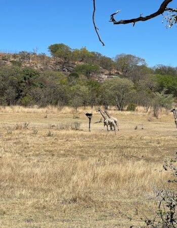 Hermits Peak Guest Lodge