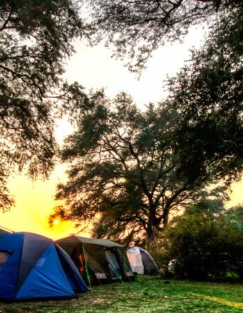 Chewore Lodge and Campsite