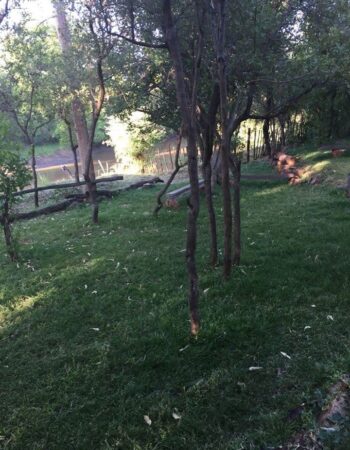Garden of Eden Camp