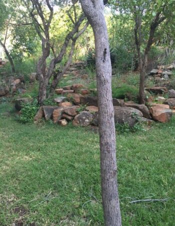 Garden of Eden Camp