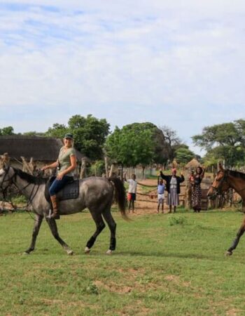 Bomani Activities