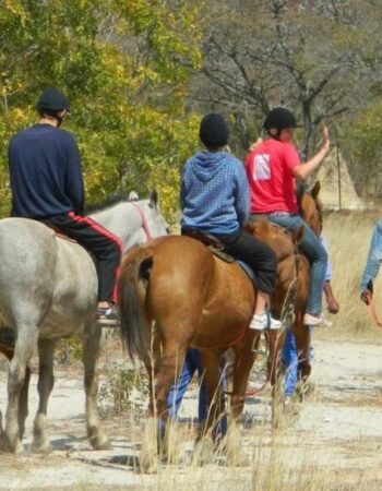 Jabulani Safaris Activities